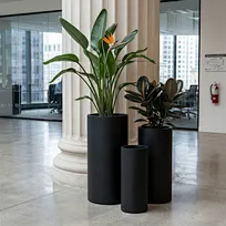 A grouping of three matte black tall cylindrical GFRC planters containing a Bird of Paradise and a Rubber plant, positioned in a modern corporate office lobby near a stone column.